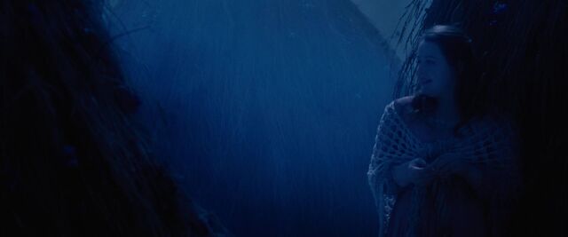 File:Red-Riding-Hood-BluRay-2011-Film-red-riding-hood-23980369-1920-800.jpg