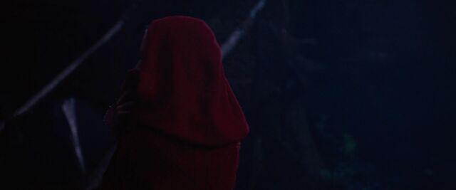 File:Red-Riding-Hood-BluRay-2011-Film-red-riding-hood-23983168-1920-800.jpg