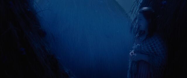 File:Red-Riding-Hood-BluRay-2011-Film-red-riding-hood-23980371-1920-800.jpg