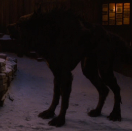 Werewolf | Red Riding Hood Wiki | Fandom powered by Wikia