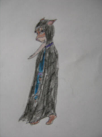 File:Mysterious otter.jpg