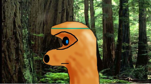File:Dannflowart2.jpg