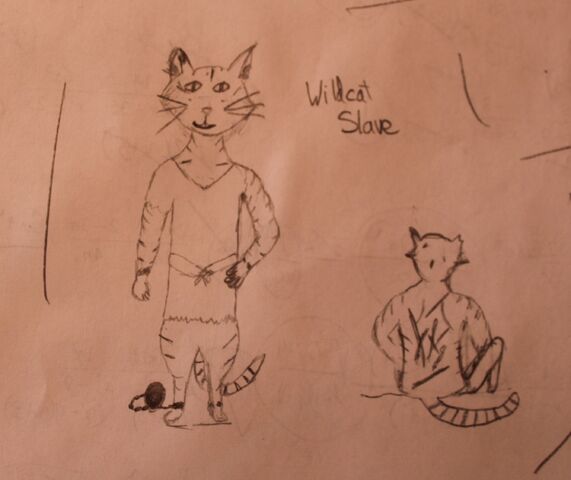 File:WildcatSlaveSegalia.jpg