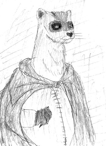 File:Ferret for Squirrelmaiden.jpg