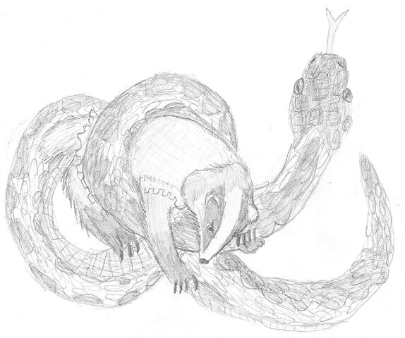 File:Lord Rose Thorn Fighting Adder.jpg