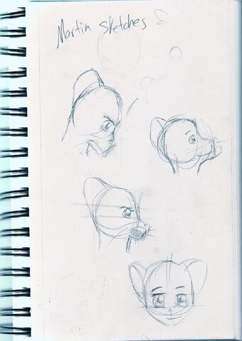 File:Martin Study.jpg