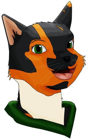 File:Indraredwall.jpg