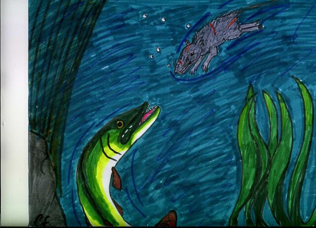 File:Gloomer and Stormfin106.jpg