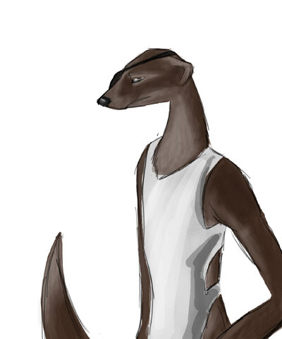 File:Riplar.jpg