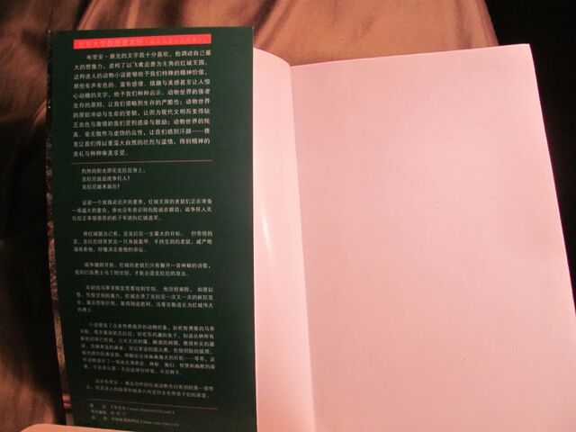 File:ChineseRedFlap1.jpg