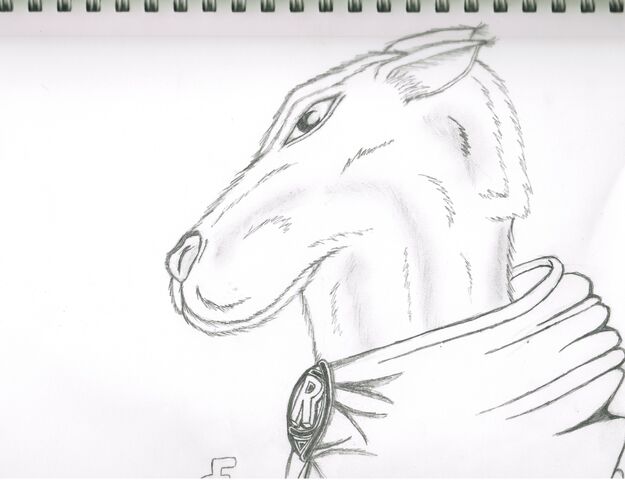 File:Harold by FF.jpg