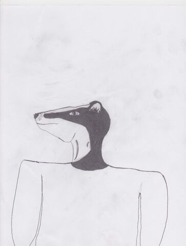 File:Random Badger Portrait.jpg