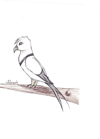 File:SketchPractice3.jpg