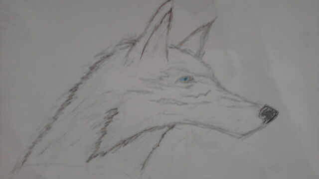 File:Silverwrath.jpg