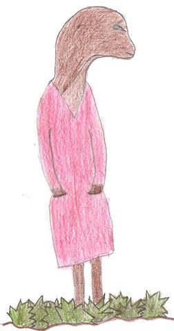File:Starpetal with red dress.jpg
