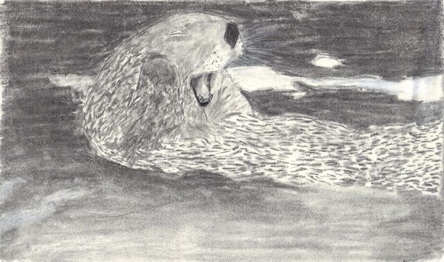 File:Sea Otter.jpg