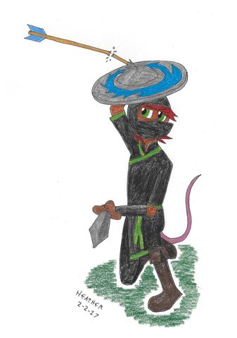 File:Hiccup Ninja.jpg