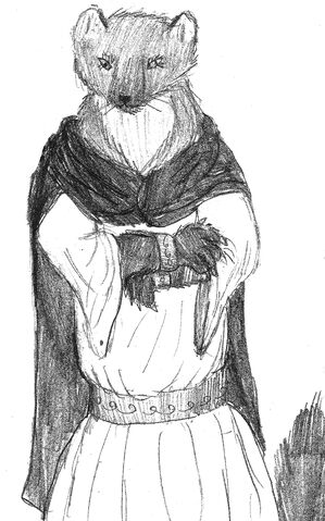 File:Addison the Pine Marten.jpg
