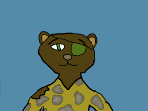 Jaccor