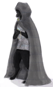 DarkshadowAssassin