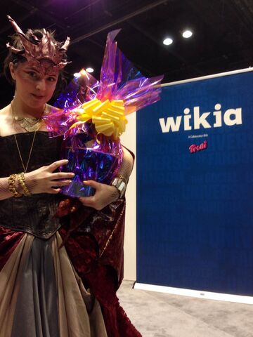 File:C2e22014-cosplay2.jpg