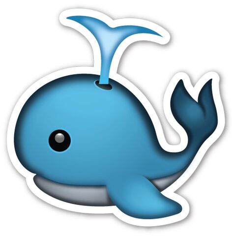 File:Whale.jpg