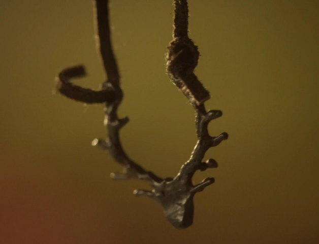 File:Pagan Necklace.png