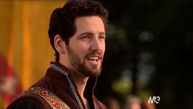 File:Lord Aris 2.jpg