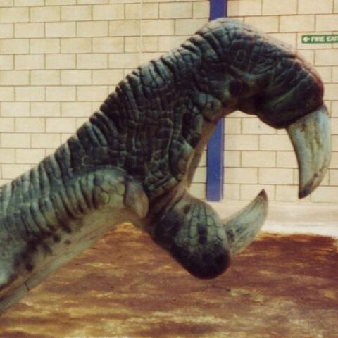 File:Dragondeadpaw.jpg