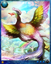 Rainbow Bird2