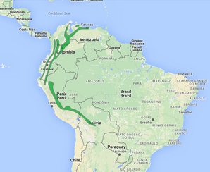 Tangara dorada 6.png