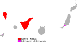 250px-Gallotia galloti range Map.png