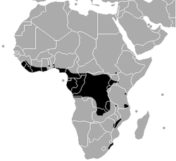 250px-Bitis-gabonica-range-map.png
