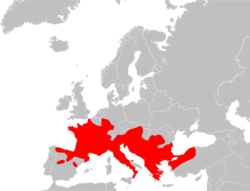 250px-Mapa Podarcis muralis.png