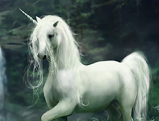 Unicornio.png