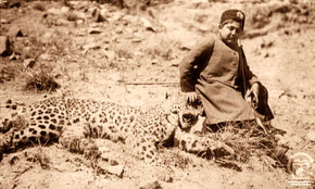 Leopardo de anatolia.png