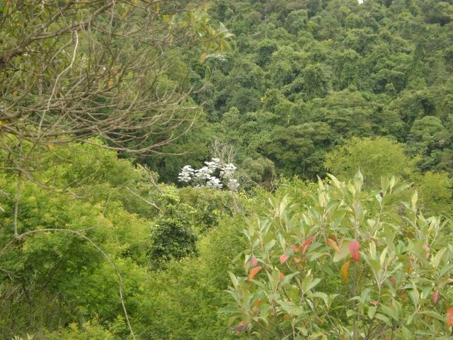 Arquivo:Image009.jpg