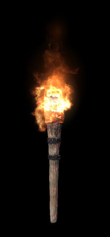 File:Poe'sTorchOrange.jpg