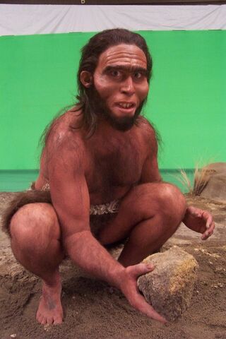 File:Human.jpg