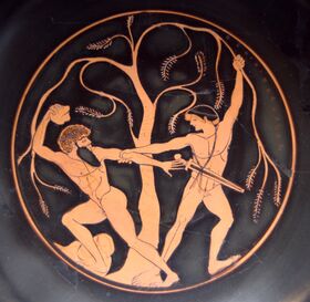 Theseus Sinis Staatliche Antikensammlungen 8771