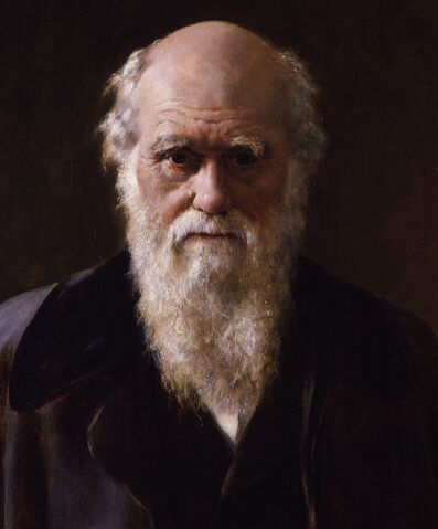 File:CharlesDarwinByCollier.jpg