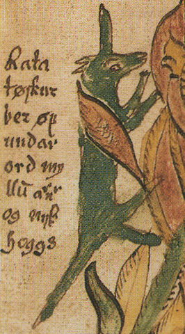 File:AM 738 4to Ratatoskr.png