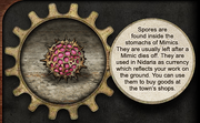 Skystone 101 Spores