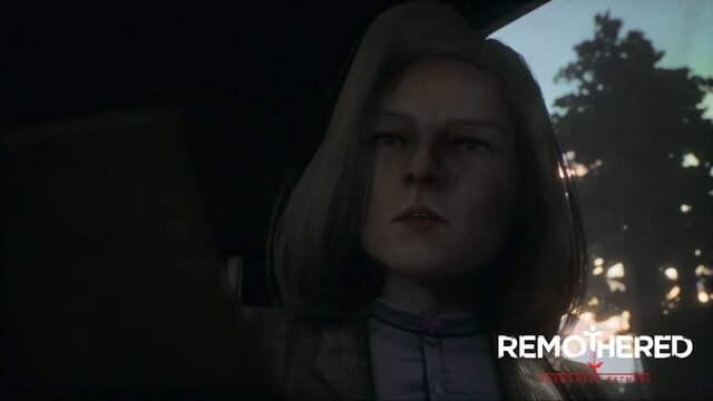 File:Steam Greenlight Trailer.jpg
