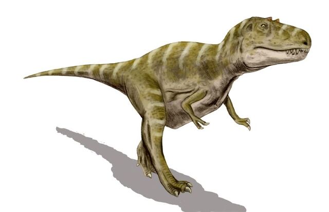 File:Gorgosaurus BW.jpg