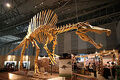 Thumbnail for version as of 15:14, June 25, 2011