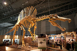 File:Spino.jpg