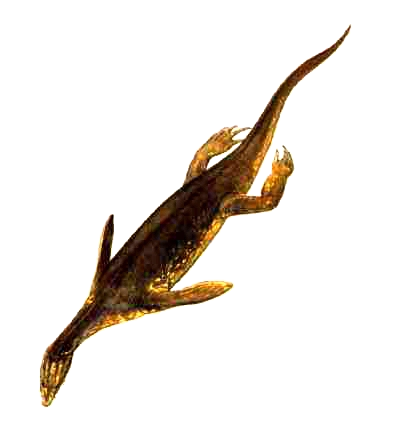 Hanosaurus | Reptipedia | FANDOM powered by Wikia