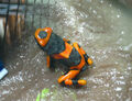 Thumbnail for version as of 21:20, August 2, 2011