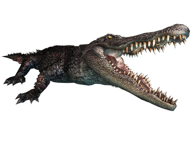 File:Alligator ene.jpg